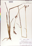 000011215-thumbnail.jpg