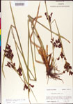 000011216-thumbnail.jpg