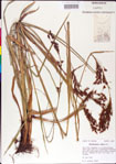 000011217-thumbnail.jpg