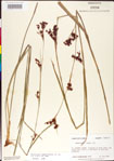 000011218-thumbnail.jpg