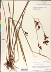 000011219-thumbnail.jpg