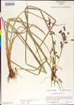 000011220-thumbnail.jpg