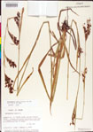 000011221-thumbnail.jpg