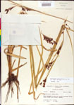 000011223-thumbnail.jpg