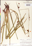 000011224-thumbnail.jpg