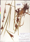 000011225-thumbnail.jpg