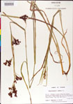 000011226-thumbnail.jpg