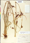 000011227-thumbnail.jpg