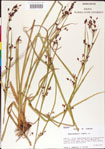 000011228-thumbnail.jpg