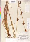000011229-thumbnail.jpg
