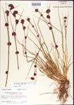 000011248-thumbnail.jpg