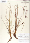 000011249-thumbnail.jpg