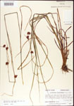 000011250-thumbnail.jpg
