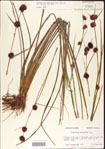 000011254-thumbnail.jpg