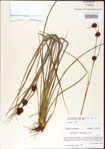 000011255-thumbnail.jpg