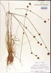 000011256-thumbnail.jpg