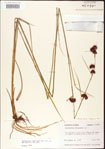 000011259-thumbnail.jpg
