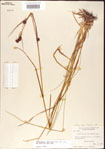 000011260-thumbnail.jpg