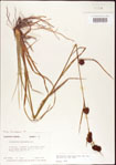 000011262-thumbnail.jpg