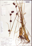 000011263-thumbnail.jpg