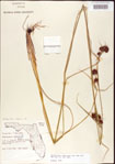 000011265-thumbnail.jpg