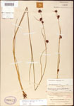 000011267-thumbnail.jpg