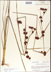 000011269-thumbnail.jpg