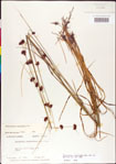 000011272-thumbnail.jpg