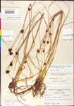 000011275-thumbnail.jpg