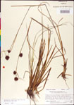 000011276-thumbnail.jpg