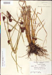 000011277-thumbnail.jpg