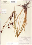 000011279-thumbnail.jpg