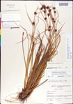 000011280-thumbnail.jpg