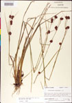 000011281-thumbnail.jpg