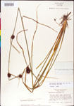 000011282-thumbnail.jpg