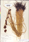 000011283-thumbnail.jpg