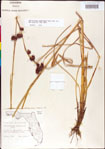 000011284-thumbnail.jpg