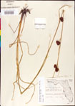 000011285-thumbnail.jpg