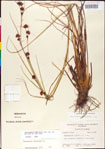 000011286-thumbnail.jpg