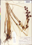 000011287-thumbnail.jpg