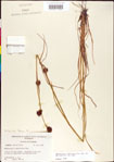 000011288-thumbnail.jpg