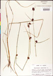 000011289-thumbnail.jpg