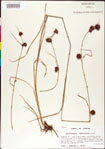 000011290-thumbnail.jpg