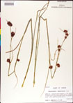 000011291-thumbnail.jpg