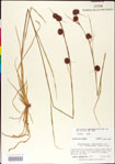 000011292-thumbnail.jpg