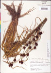 000011293-thumbnail.jpg
