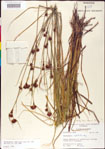 000011294-thumbnail.jpg