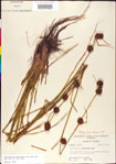 000011298-thumbnail.jpg