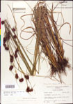 000011300-thumbnail.jpg
