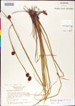 000011303-thumbnail.jpg